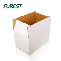 F019 숲 포장 영어 공장 도매 널리 가격 대형 실린더 판지 상자
