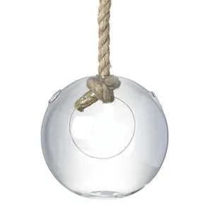 Globe <span class=keywords><strong>en</strong></span> <span class=keywords><strong>verre</strong></span> <span class=keywords><strong>pour</strong></span> plantes aériennes suspendues avec corde <span class=keywords><strong>en</strong></span> jute - Product Image 1