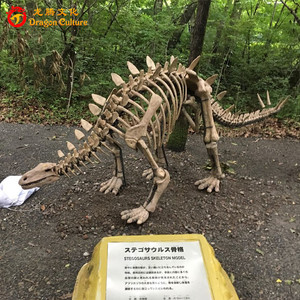Dinosaure parc pièce pas cher stégosaure dinosaure fossiles modèle répliques - Product Image 1