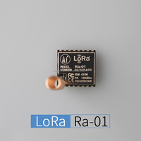 Module de transmission sans fil à spectre étalé LoRa SX1278 433M 10KM Ra-01, vente chaude