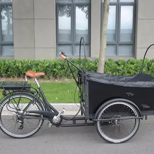 3 Wheel Electric Cargo Bike Used For Carrying Kids Cargo Tricycle/trike Model UB-9032E