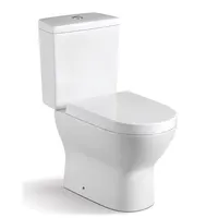 Chaozhou Wc Sanitary Ware European Western P Trap Washdown 2 Pc Water Closet Bathroom Ceramic Two Piece Toilet Bowl