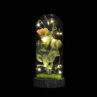 ベースの木製とストリングライト付きのガラスドームのバラの花