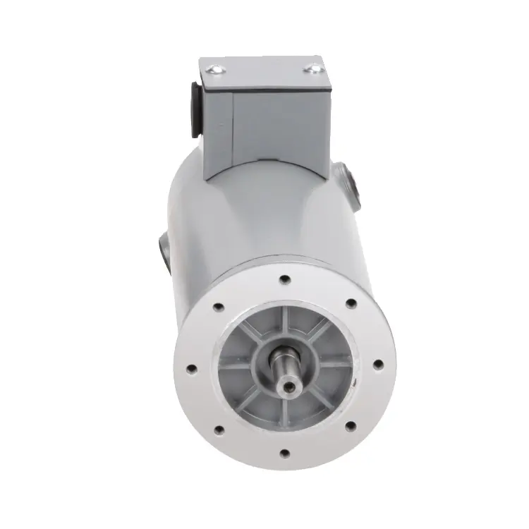 China fornecedores escova alta rpm 12v dc motor