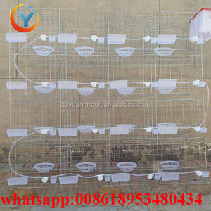 <span class=keywords><strong>Cage</strong></span> et <span class=keywords><strong>cage</strong></span> de <span class=keywords><strong>pigeon</strong></span> à 12 cellules bon marché et de vente chaude pour l'animal de compagnie d'oiseau de <span class=keywords><strong>pigeon</strong></span> d'élevage (vente directe) - Product Image 2