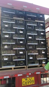 Nhỏ Ráp Thùng Nhựa Cho Trái Cây Và Rau Quả - Product Image 6