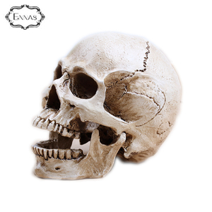 Polyresin Personalizado Animal Cabeza Del Cráneo, Resina de Halloween Cráneo Dirige - Product Image 5