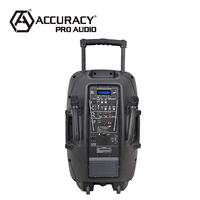 Altavoz Activo con Ruedas Recargable para Exteriores Accuracy Pro Audio PML15AMFQ-V2BP de 15'' y 100W 12V con Dos Micrófonos Inalámbricos