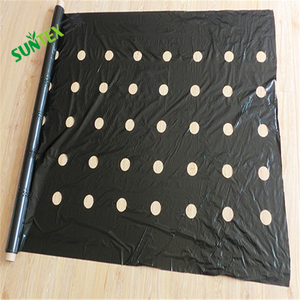 Couverture de sol en <span class=keywords><strong>plastique</strong></span> agricole / Membrane anti-mauvaises herbes / Paillis en <span class=keywords><strong>plastique</strong></span> <span class=keywords><strong>noir</strong></span> à vendre - Product Image 3