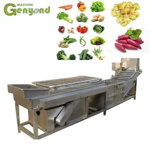 Stoom blancheren machine voor groente en fruit verwerking