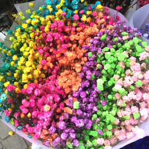 フェスティバルギフト永遠の生花ベビーブレス - Product Image 3