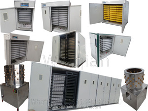 5000 Oeufs incubateur, 5000 trứng incubateur automatique En pháp <span class=keywords><strong>WQ</strong></span>-<span class=keywords><strong>5280</strong></span> - Product Image 4