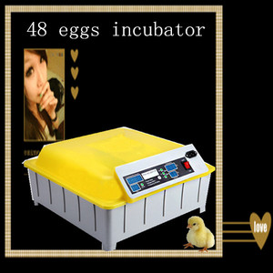El mejor precio del ce. Buena calidad 98% hatching completo automático de huevos para incubar de la máquina para la venta - Product Image 1