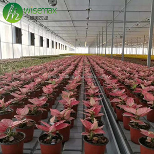 Rodando inundación soporte de mesa inundación y drenaje hydro Grow bandejas - Product Image 4