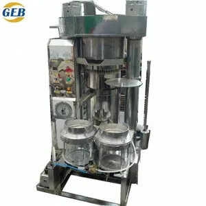 सबसे अच्छा बेच गर्म चीनी उत्पादों kratum तेल प्रेस मशीन हाइड्रोलिक फल प्रेस