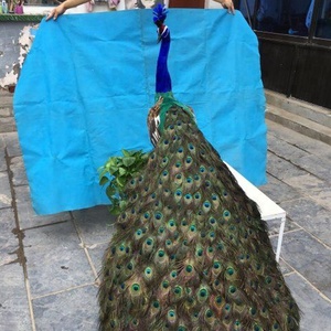 Tùy Chỉnh Chất Lượng Cao Mô Phỏng Trang Trí Đám Cưới Con Công - Product Image 2