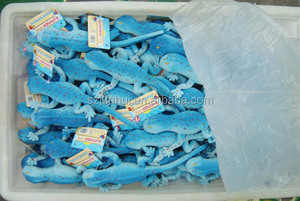 "Culty" - Product Image 6