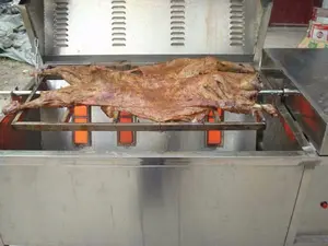 عالية الكفاءة موقد يعمل بالغاز والأشعة تحت الحمراء للخنزير بطة هوت دوج محمصة