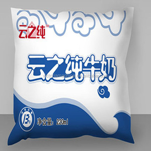 Planta <span class=keywords><strong>de</strong></span> Producción <span class=keywords><strong>de</strong></span> Leche Pasteurizada a Pequeña Escala <span class=keywords><strong>de</strong></span> 500L - Product Image 6