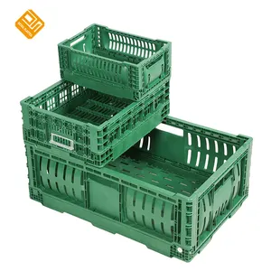 Günstige heavy duty polypropylen kunststoff klapp box obst veg gemüse produzieren kisten für verkauf