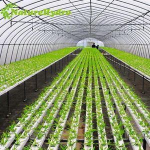 Hệ Thống Thủy Canh Đứng Nft Chất Lượng Cao Phương Pháp Trồng Ớt Ống Pvc Vuông - Product Image 5