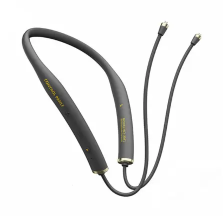 Whizzer W2-AM1 Modul Upgrade Kabel Bluetooth, Nirkabel dengan Konektor 2PIN/MMCX