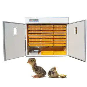 hatching quail eggs automatic 10000 egg incubator hatcher