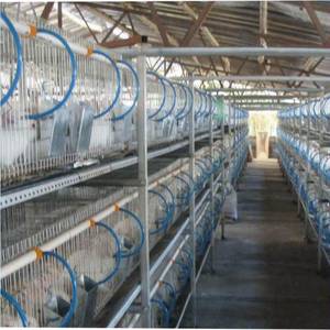 กรงนกพิราบ<span class=keywords><strong>แข่ง</strong></span><span class=keywords><strong>ราคา</strong></span>ถูก - Product Image 4