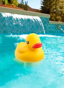 Accessoires de <span class=keywords><strong>piscine</strong></span> thermomètre d'eau thermomètre de <span class=keywords><strong>piscine</strong></span> flottant à motif de <span class=keywords><strong>canard</strong></span> - Product Image 5