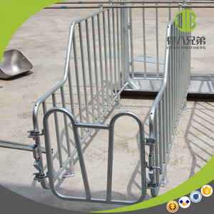 Chất Lượng Tốt Pig Box Chăn Nuôi Bút Sow Gestation Thùng - Product Image 2