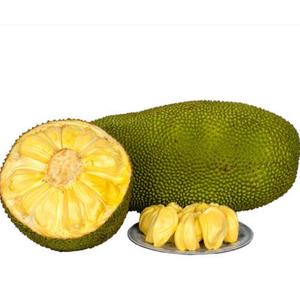 เนื้อขนุนอบแห้งแบบออร์แกนิก เนื้อขนุนแช่แข็งสำหรับทำขนม - Product Image 3