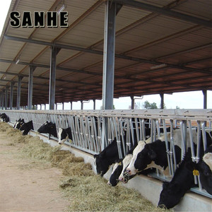 Capannone in Struttura d'Acciaio per Allevamento di Bovini da Latte - Product Image 3