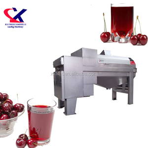 Machine à écraser les avocats, machine industrielle de fabrication de confiture d'<span class=keywords><strong>avocat</strong></span> 2-3t/h, machine à retirer les noyaux d'<span class=keywords><strong>avocat</strong></span> - Product Image 2