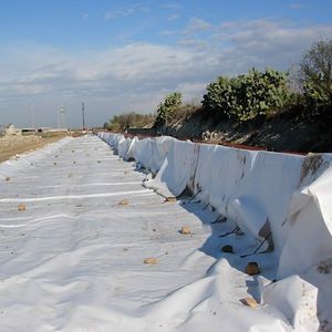 פוליפרופילן nonwoven <span class=keywords><strong>geotextile</strong></span> ב 200gsm/400gsm/400gsm אישית בד מחיר תחרותי" - Product Image 5