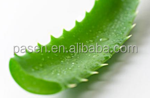 Máquina Eléctrica para Quitar la Piel de <span class=keywords><strong>Cactus</strong></span> / Máquina para Quitar la Piel de Nopal / Máquina Peladora de <span class=keywords><strong>Cactus</strong></span> - Product Image 5