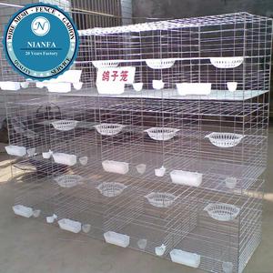 Cages à pigeons Nianfa <span class=keywords><strong>pas</strong></span> chères avec boîte à nourriture et boîte à eau (usine de Guangzhou) - Product Image 6