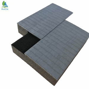 XPE Material Flexi salir de artes marciales de lucha libre gimnasia salir alfombras de piso - Product Image 2