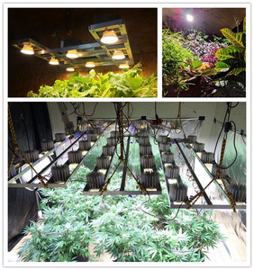 Ciudadano clu048 1212 DIY COB Kit, hecho en casa crece la luz de 200 vatios - Product Image 5