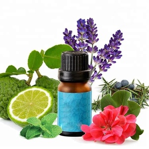 Venta Directa fragancia <span class=keywords><strong>ginseng</strong></span> y té verde aceite esencial - Product Image 5
