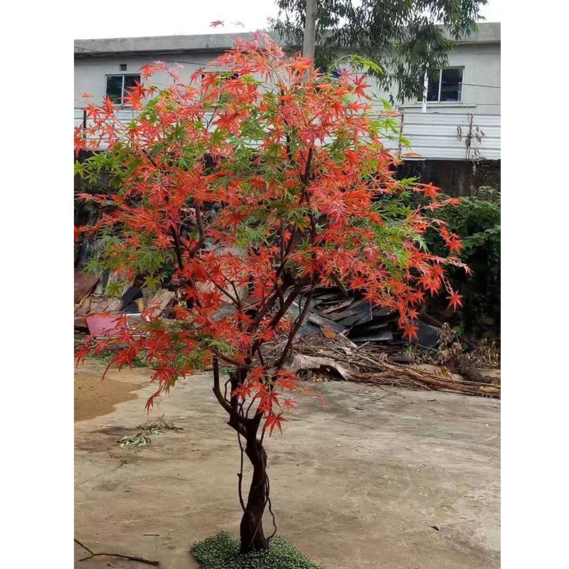 Verde con rojo
