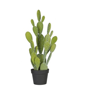 <span class=keywords><strong>Grand</strong></span> <span class=keywords><strong>cactus</strong></span> bonsaï <span class=keywords><strong>cactus</strong></span> et pépinière succulent artificielle verdure - Product Image 1