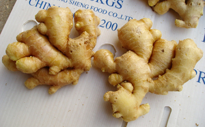 Giá Của Xuất Khẩu Số Lượng Lớn Bán Buôn Tươi Trẻ <span class=keywords><strong>Ginger</strong></span> Gốc Trong Trung Quốc - Product Image 5