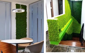Pannello Murale in Muschio di Renna Naturale Stabilizzato, Decorazione Natalizia Preservata per DIWALI <span class=keywords><strong>e</strong></span> Battesimo, Elemento Decorativo per la <span class=keywords><strong>Casa</strong></span> - Product Image 6