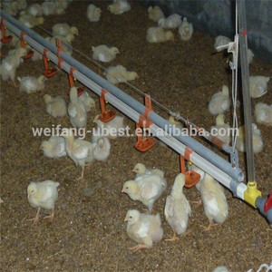Automatique volaille farm barn équipement pour poulets de chair - Product Image 4