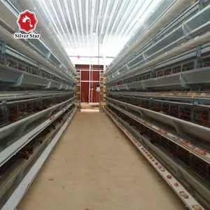 Full automatic system design 50000 chicken house 4 tier h type layer chicken cage for Bangladesh