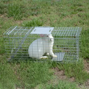 Pièges haute qualité pour lapin, exportation au royaume-uni et australie, lot de 5 pièces