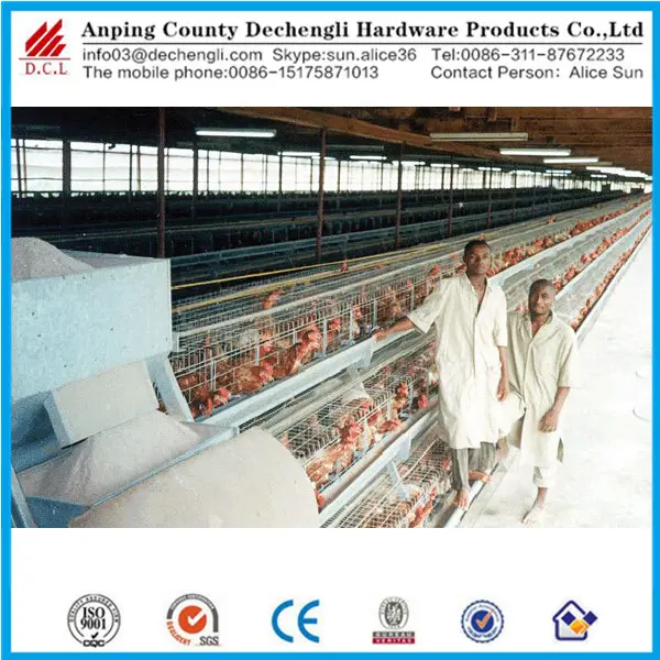 Kenya exportação gaiola de galinha galvanizado/frango fazenda venda quente UM Tipo de camada de aves gaiolas em bateria