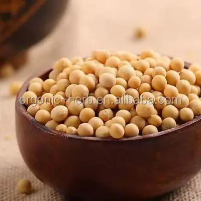 100% Natural Halal soy peptide / Isoflavone Soya extract