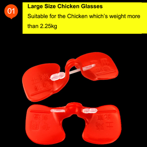 La máscara de Ojo de <span class=keywords><strong>pollo</strong></span> para picotear <span class=keywords><strong>con</strong></span> <span class=keywords><strong>gafas</strong></span> previene la lucha contra el gallo <span class=keywords><strong>Gafas</strong></span> de <span class=keywords><strong>pollo</strong></span> <span class=keywords><strong>con</strong></span> hueso nasal - Product Image 3
