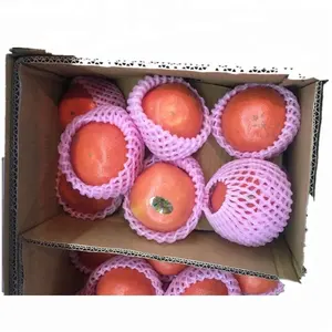 export standard styrofoam packing fruit net wrap for pomegranate